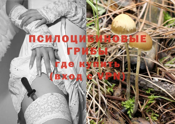 a pvp Алексин