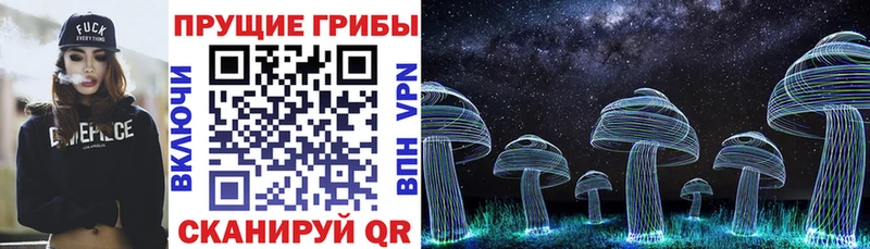 MEGA как войти где купить Осинники Галлюциногенные грибы Cubensis